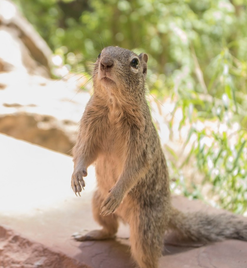 SHSU, LEAP Center, Zion