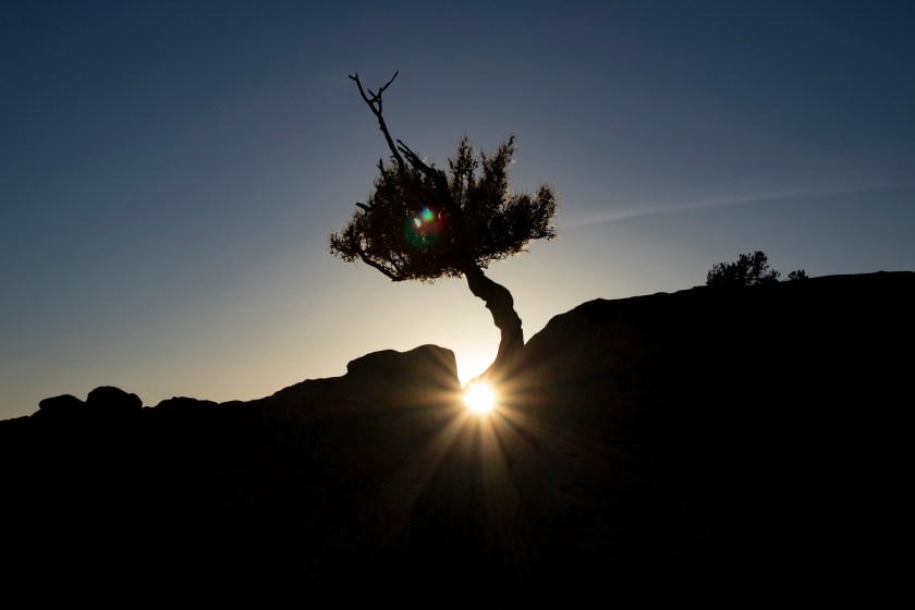 SHSU, LEAP Center, North Rim Grand Canyon, Angel's, Bright Angel Point