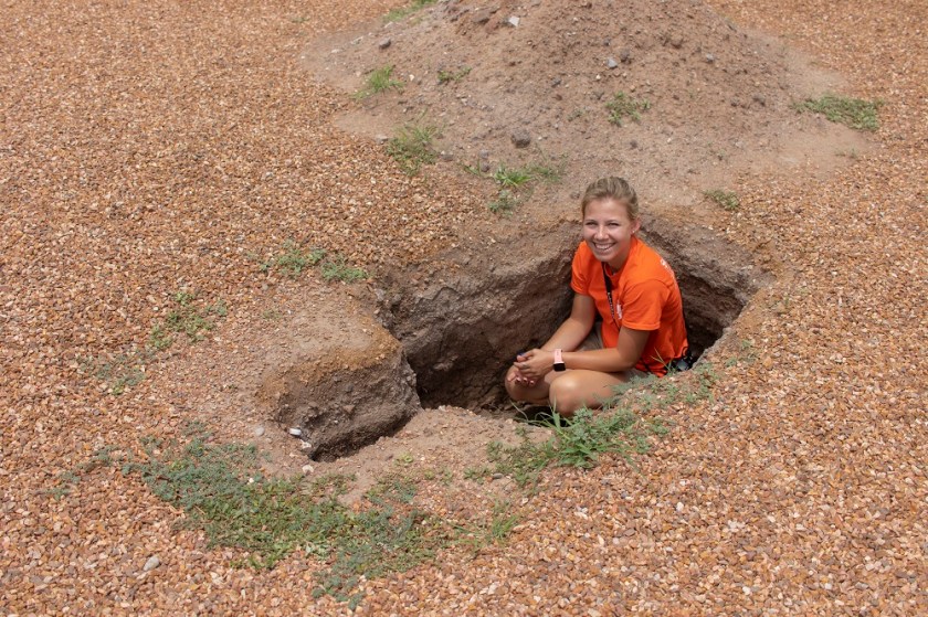 SHSU, LEAP Center, Marfa, Marfa Ballroom, Maggie Denena