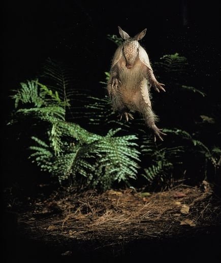 SHSU, LEAP Center, LEAP Ambassadors, Fredericksburg, LEAP Winery