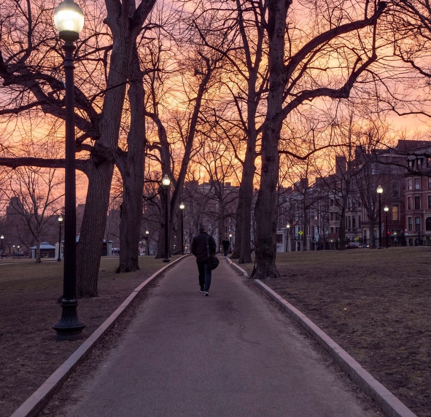 SHSU, LEAP Center, LEAP Ambassadors, Boston MA