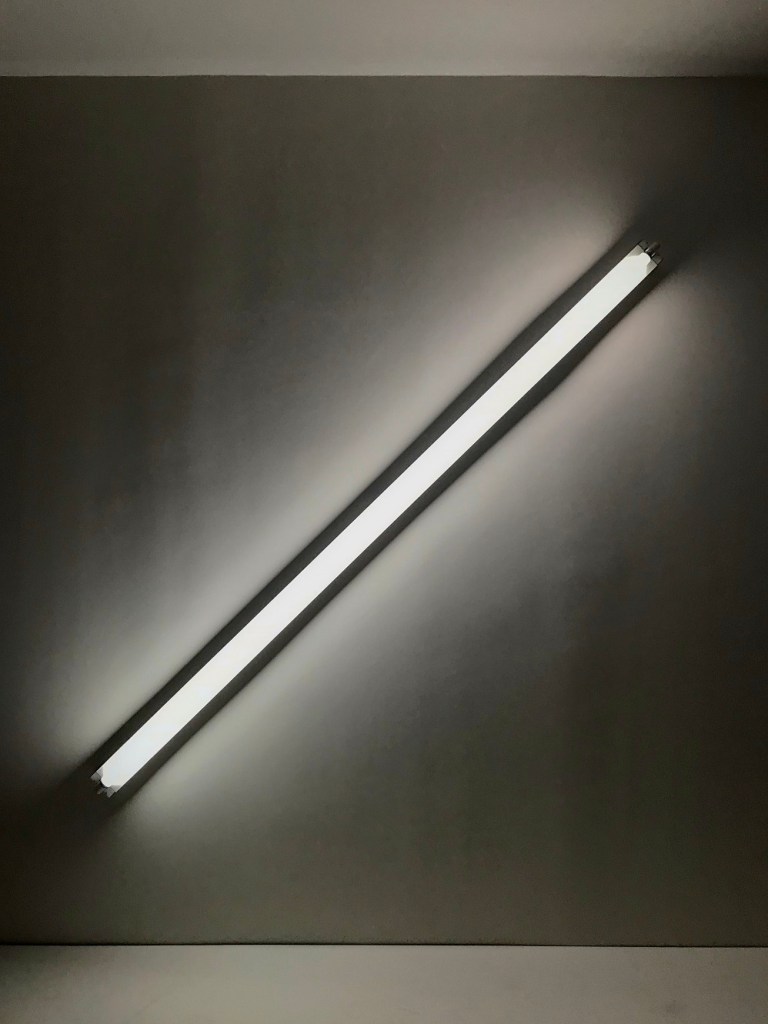 SHSU, LEAP Center, LEAP Ambassadors, New York City, The Met, Dan Flavin