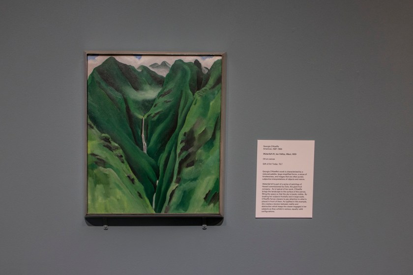 SHSU, LEAP Center, LEAP Ambassadors, Memphis, Brooks Museum of Art, Georgia O'Keeffe