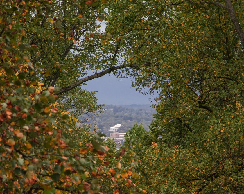 SHSU, LEAP Center, LEAP Ambassadors, Charlottesville VA Thomas Jefferson, Monticello, University of Virginia