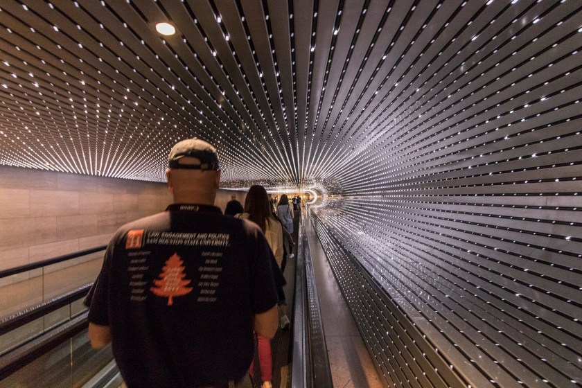 SHSU, LEAP Center, LEAP Ambassadors, Washington DC, National Gallery of Art