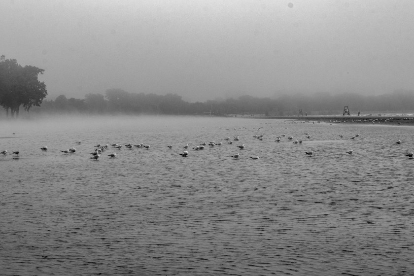 SHSU, LEAP Center, LEAP Ambassadors, Chicago, Lake Michigan