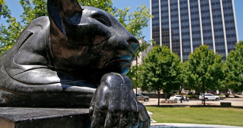 SHSU, LEAP Center, LEAP Ambassadors, Fort Worth, Panther