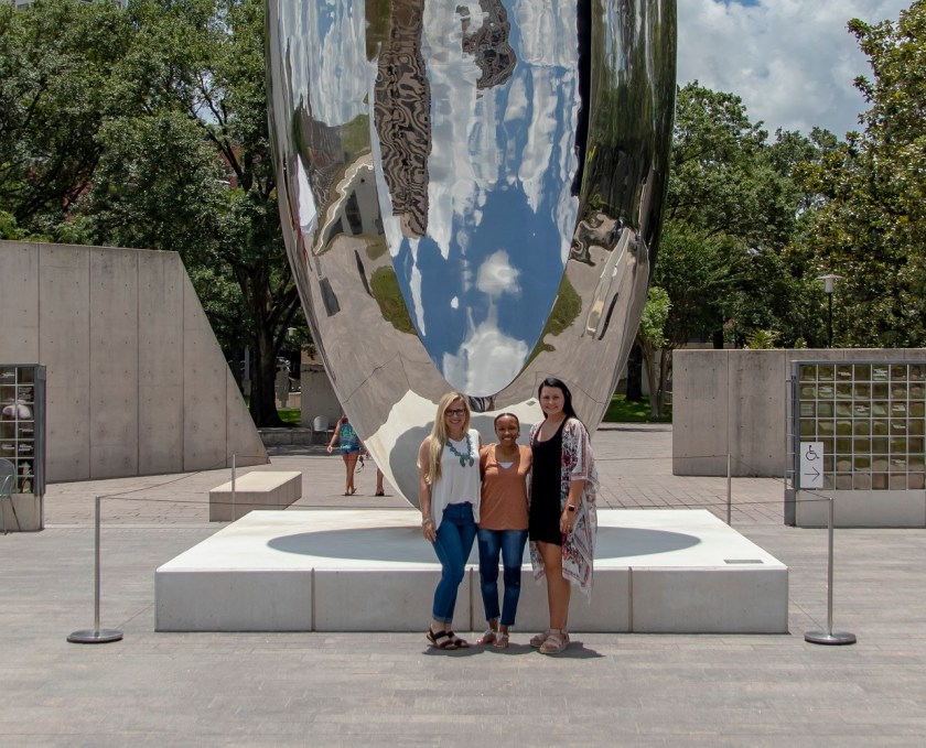 SHSU, LEAP Center, LEAP Ambassadors, Houston TX, MFAH, Museum of Fine Arts Houston, Anish Kapoor, Cloud Column