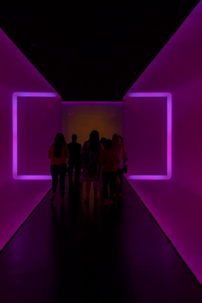 SHSU, LEAP Center, LEAP Ambassadors, MFAH, Museum of Fine Arts, Houston TX, James Turrell