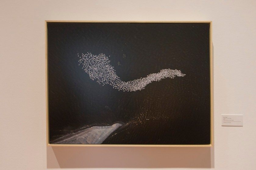 SHSU, LEAP Center, LEAP Ambassadors, NOLA, New Orleans Louisiana, Ogden Museum of Southern Art, Ben Depp