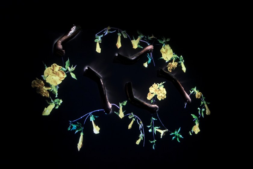 SHSU, LEAP Center, LEAP Ambassadors, NOLA, New Orleans Louisiana, Ogden Museum of Southern Art, Courtney Egan