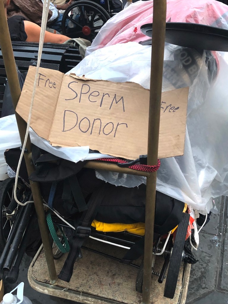 SHSU, LEAP Center, LEAP Ambassadors, NOLA, New Orleans Louisiana