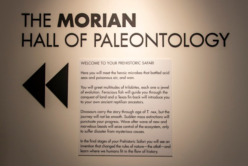 SHSU, LEAP Center, LEAP Ambassadors, Museum of Natural Science