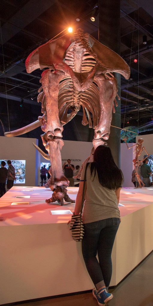 SHSU, LEAP Center, LEAP Ambassadors, Museum of Natural Science