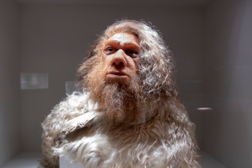 SHSU, LEAP Center, LEAP Ambassadors, Museum of Natural Science