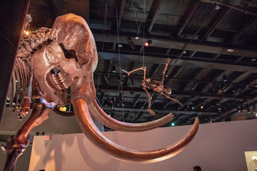 SHSU, LEAP Center, LEAP Ambassadors, Museum of Natural Science