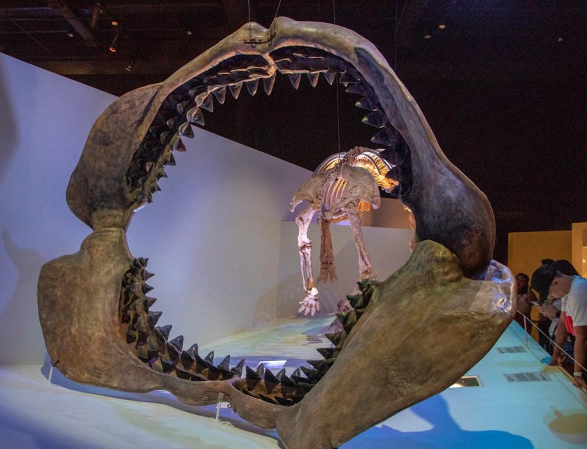 SHSU, LEAP Center, LEAP Ambassadors, Museum of Natural Science