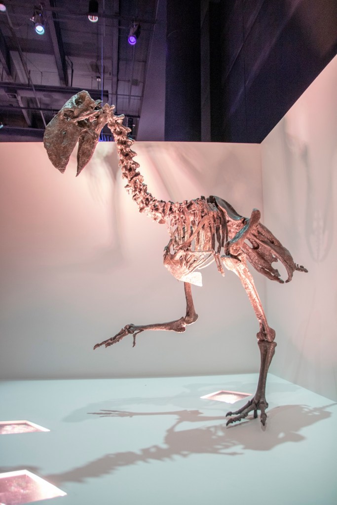 SHSU, LEAP Center, LEAP Ambassadors, Museum of Natural Science