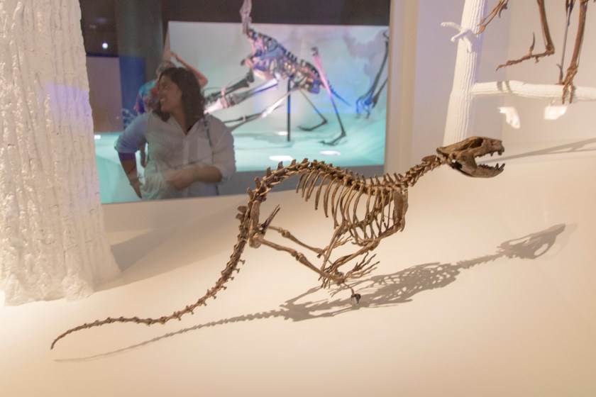 SHSU, LEAP Center, LEAP Ambassadors, Museum of Natural Science