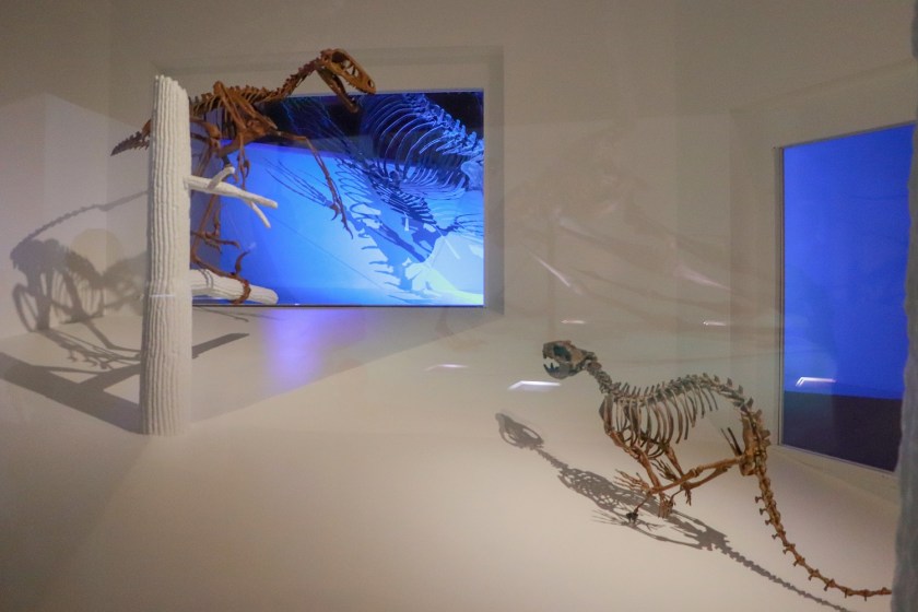 SHSU, LEAP Center, LEAP Ambassadors, Museum of Natural Science