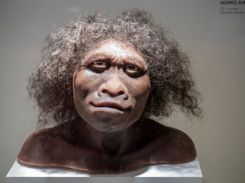 SHSU, LEAP Center, LEAP Ambassadors, Museum of Natural Science