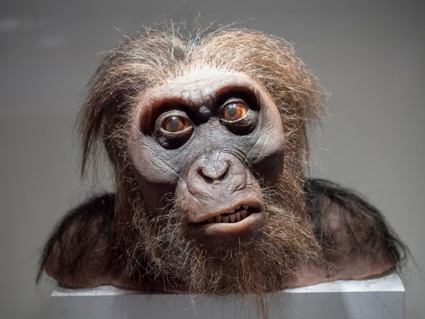 SHSU, LEAP Center, LEAP Ambassadors, Museum of Natural Science