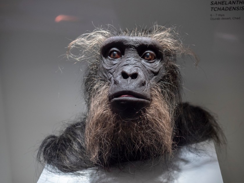 SHSU, LEAP Center, LEAP Ambassadors, Museum of Natural Science