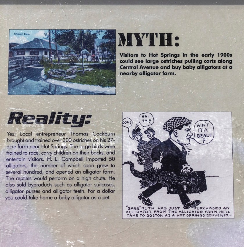 SHSU, LEAP Center, Center for Law Engagement And Politics, LEAP Ambassadors, Hot Springs AR, Hot Springs National Park