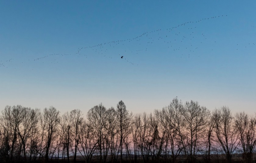 SHSU, LEAP Center, LEAP Ambassadors, Center for Law Engagement And Politics, Little Rock AR, Pinnacle Mountain Hike