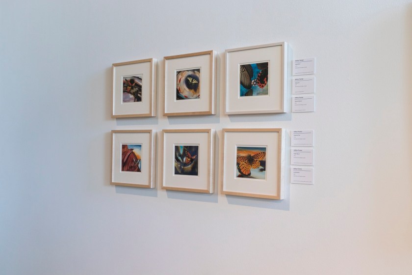 SHSU, LEAP Center, LEAP Ambassadors, Center for Law Engagement And Art, Houston Texas, MFAH, Museum of Fine Arts, Glassell School of Art, Arthur Turner