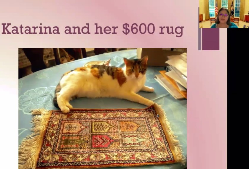 SHSU, LEAP Center, Campaign Bootcamp, New Politics Forum, Annette Strauss Institute, Nancy Bocskor