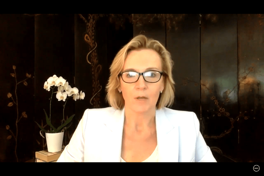 SHSU, LEAP Center, Center for Law Engagement And Politics, TAMU, World Affairs Council Houston, Jim Olson