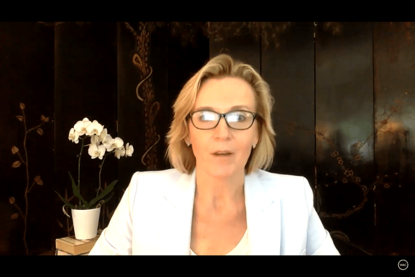 SHSU, LEAP Center, Center for Law Engagement And Politics, TAMU, World Affairs Council Houston, Jim Olson