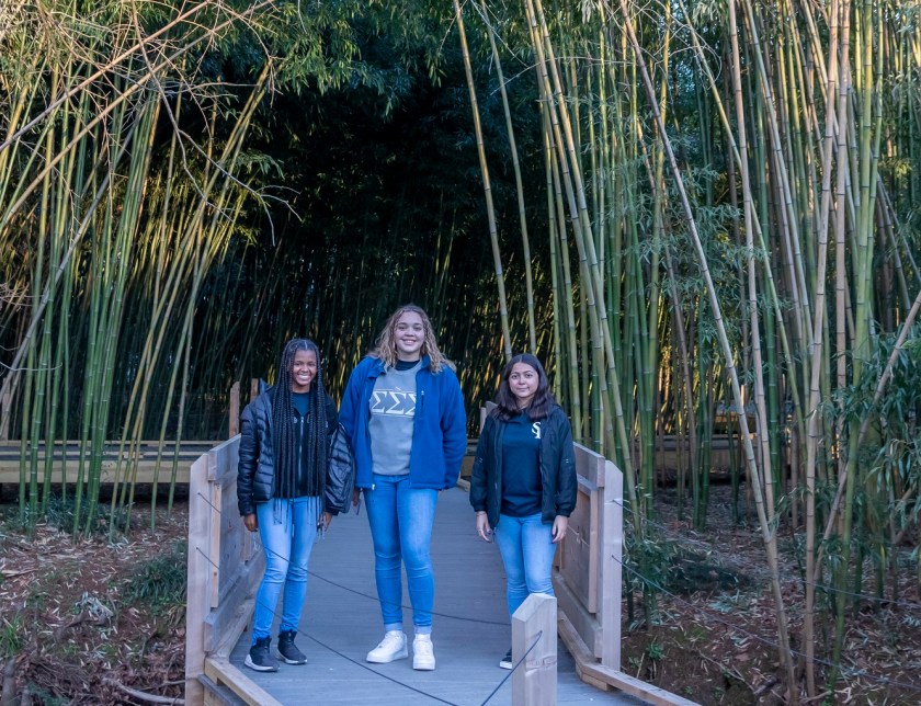 SHSU, LEAP Center, Center for Law Engagement And Politics, Birmingham AL, Birmingham Museum of Art