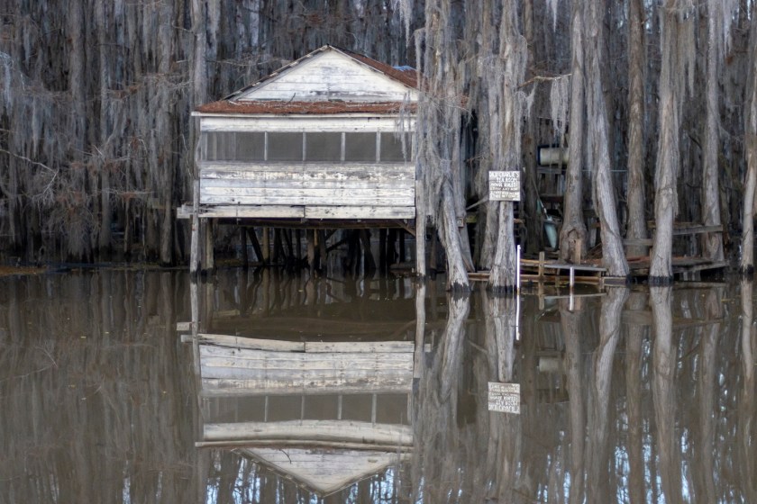 SHSU, LEAP Center, Center for Law Engagement and Politics, Caddo Lake, Dick and Charlie's Tea House