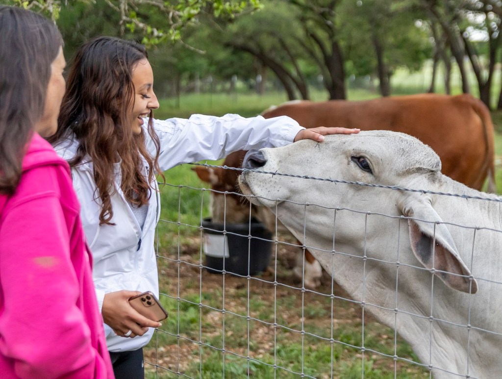 SHSU, LEAP Center, Center for Law Engagement And Politics, Austin TX, ATX, Rocky and Lauren Edwards